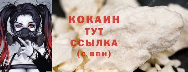 гидропоника Кодинск