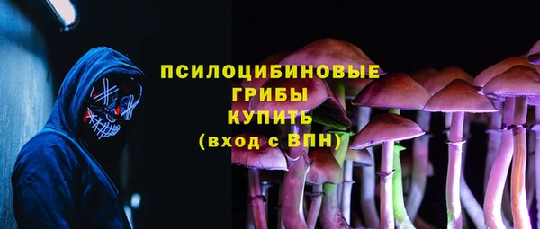 spice Козловка