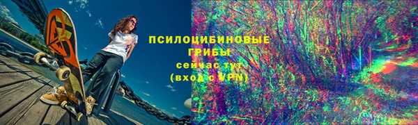 apvp Козельск