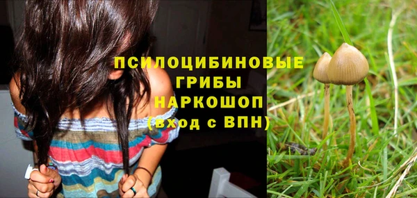 spice Козловка