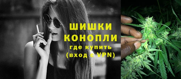 spice Козловка