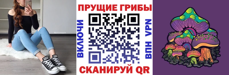 Псилоцибиновые грибы Psilocybine cubensis  Мурманск 