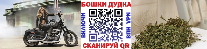 Конопля план  mega вход  Мурманск 